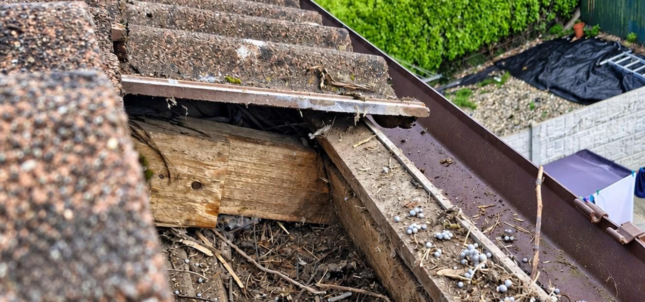 Emergency Roof Repairs Cork